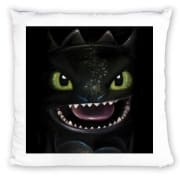 Coussin Personnalisé Night fury