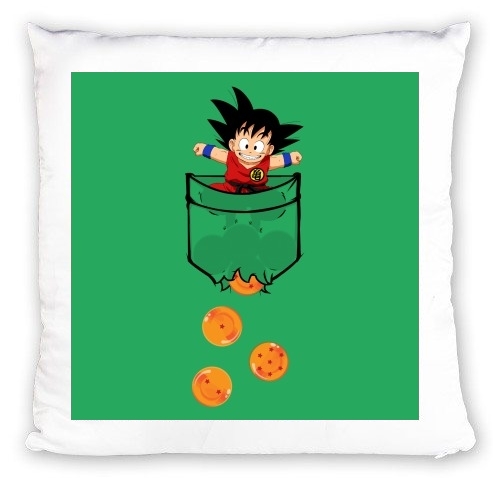 Coussin Pocket Collection: Goku Dragon Balls