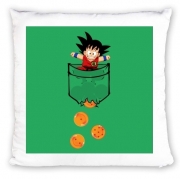 coussin-personnalisable Pocket Collection: Goku Dragon Balls