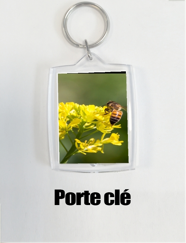 Porte A bee in the yellow mustard flowers