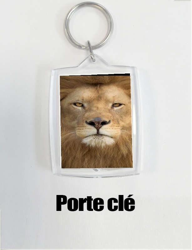 Porte Africa Lion
