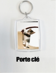 Porte Clé - Format Rectangulaire Bébé chat, mignon chaton escalade