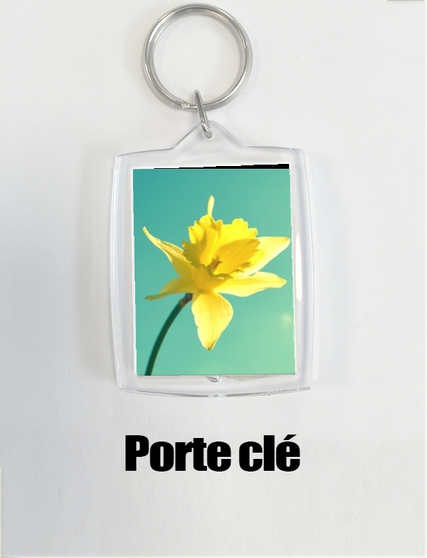 Porte Daffodil