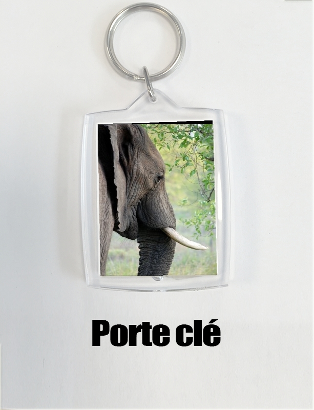 Porte Elephant