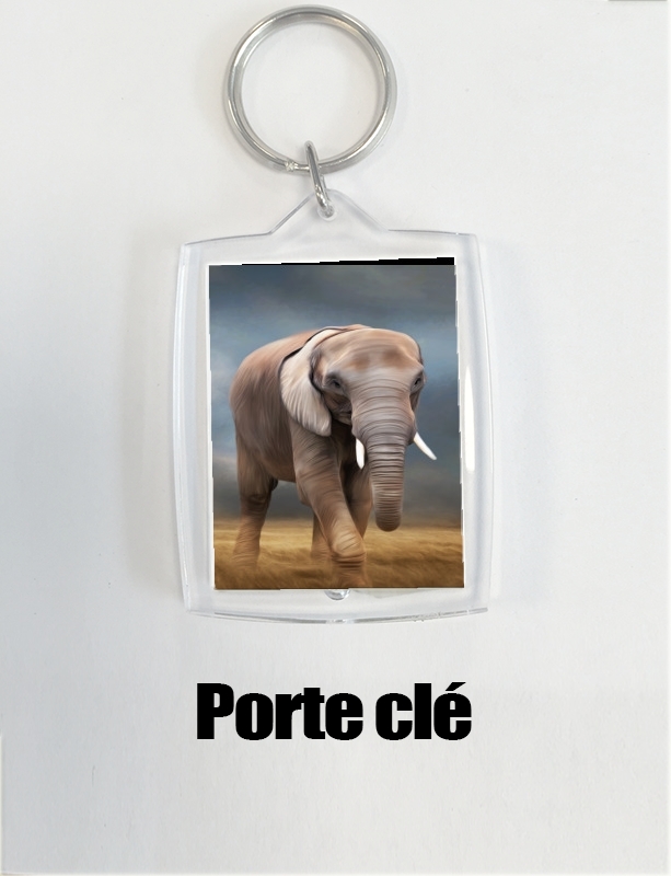Porte Elephant tour
