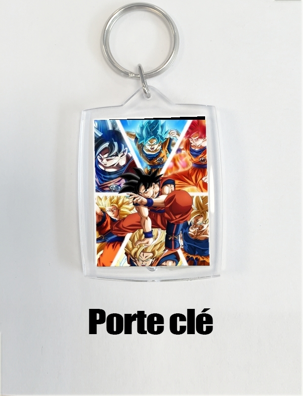 Porte Goku Ultra Instinct