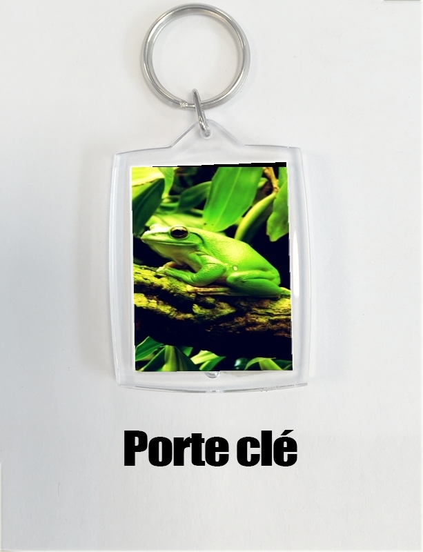 Porte Green Frog