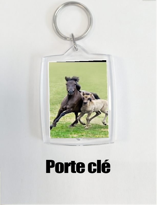 Porte Chevaux poneys poulain