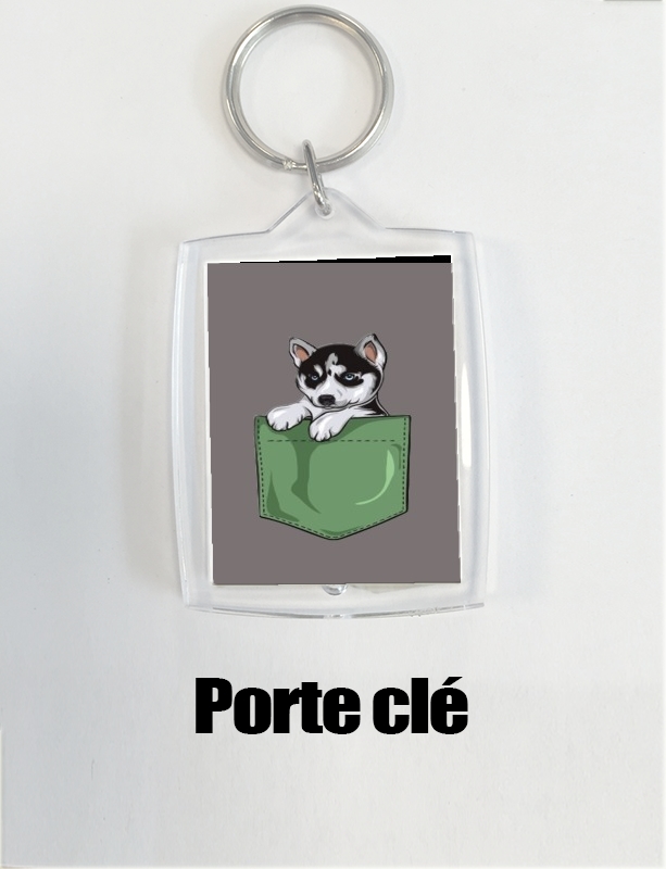 Porte Husky Dog in the pocket