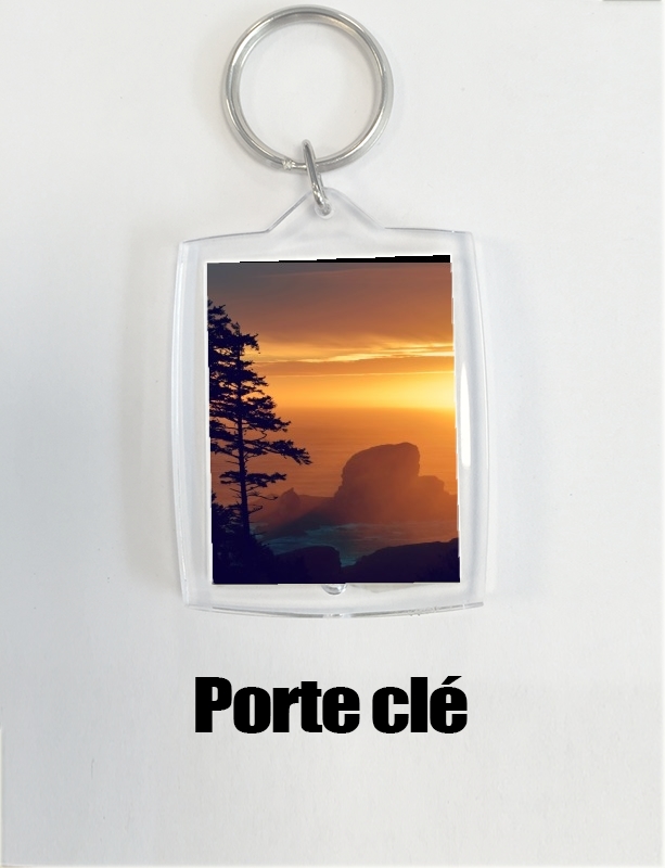 Porte This is Your World