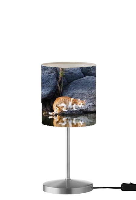 Lampe  Reflet chat dans l'eau d'un étang 