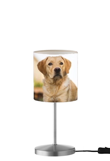 Lampe Labrador Dog
