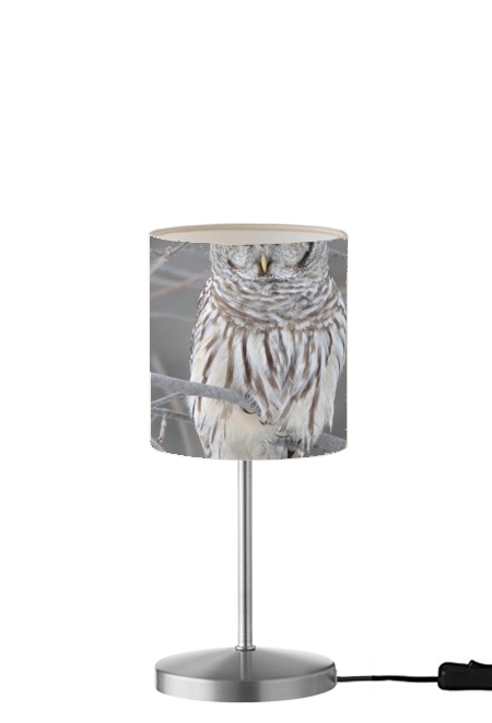 Lampe owl bird on a branch