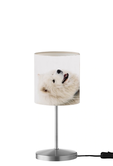 Lampe samoyede dog