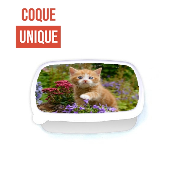 Lunch Box Bébé chaton mignon marbré rouge dans le jardin