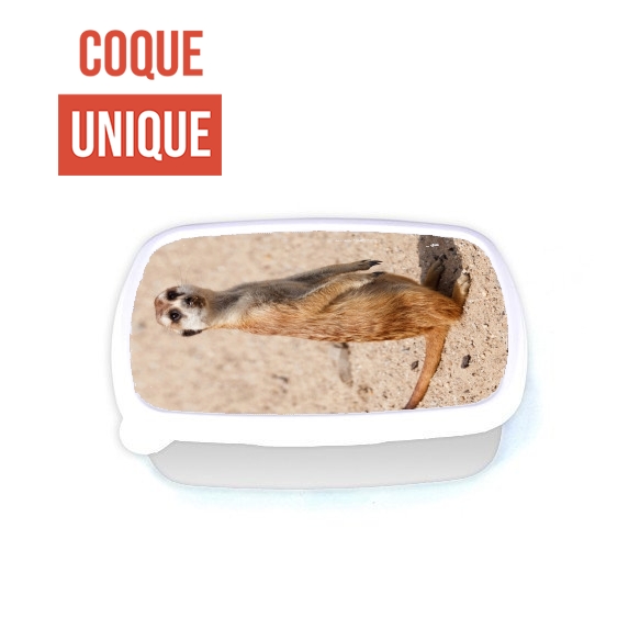 Lunch Meerkat