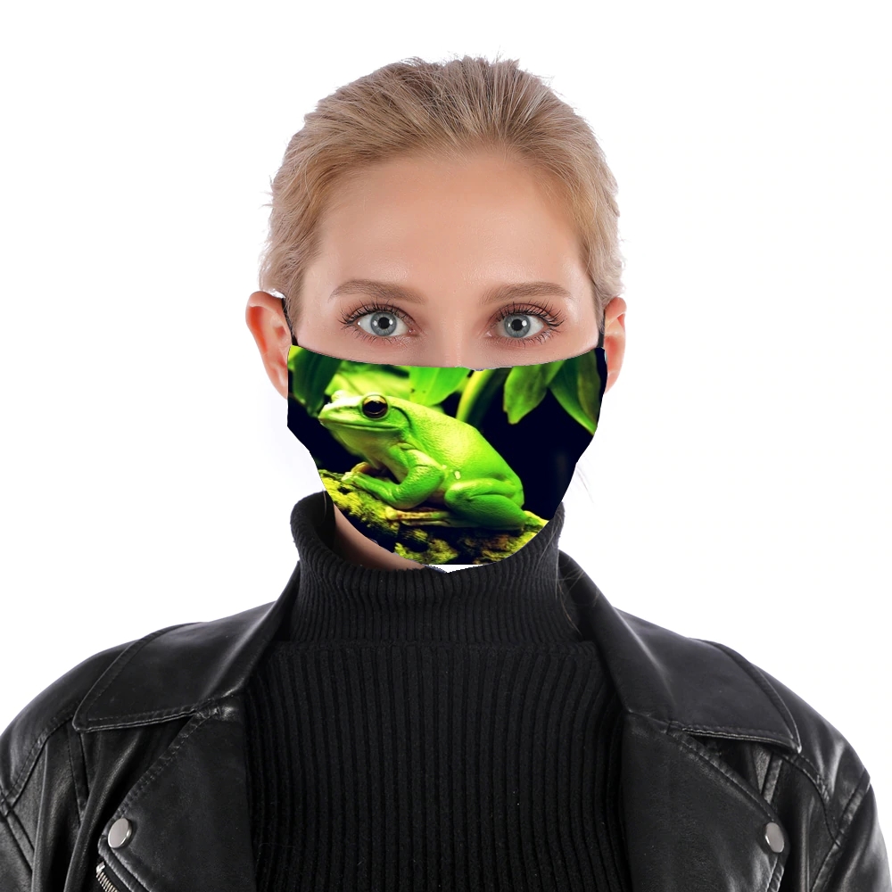 Masque Green Frog