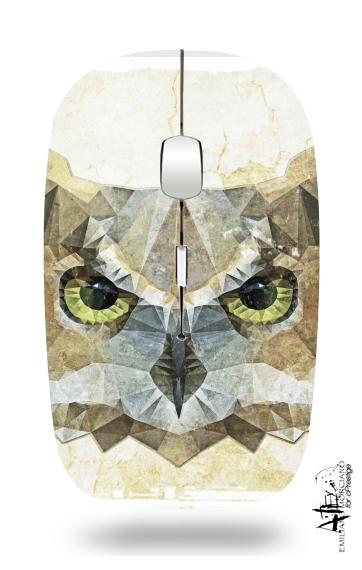 Souris abstract owl