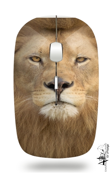 Souris Africa Lion