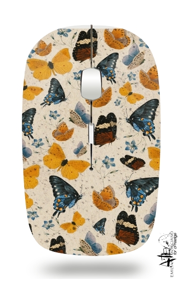 Souris Butterflies I