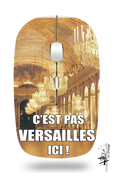 Souris C'est pas Versailles ICI !