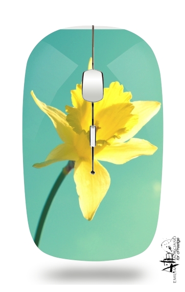 Souris Daffodil