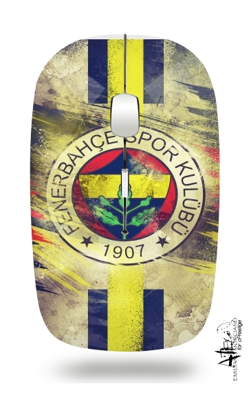 Souris Fenerbahce Football club