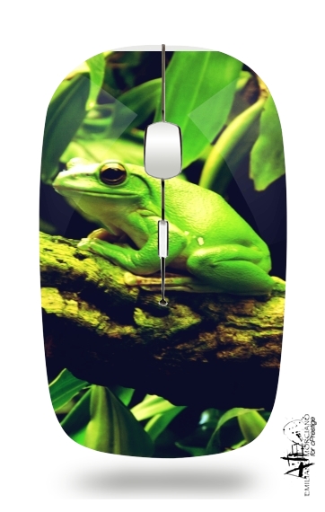 Souris Green Frog