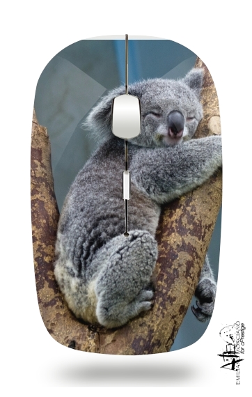 Souris Koala Bear Australia