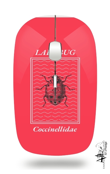 Souris Ladybug Coccinellidae