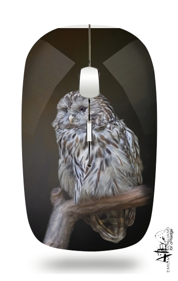 Souris Lovely cute owl
