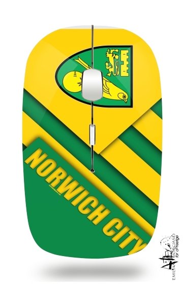 Souris Norwich City