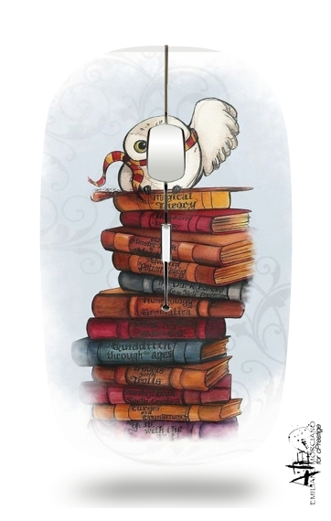 Souris Owl and Books
