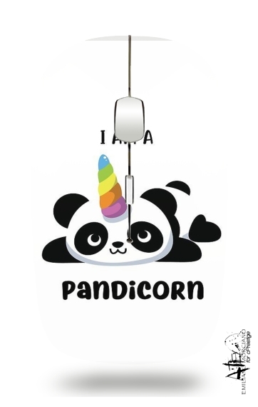 Souris Panda x Licorne Means Pandicorn