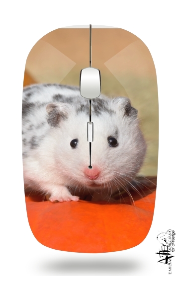 Souris Hamster dalmatien blanc tacheté de noir