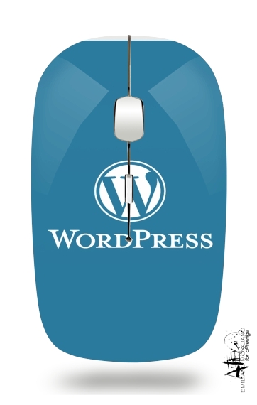 Souris Wordpress maintenance