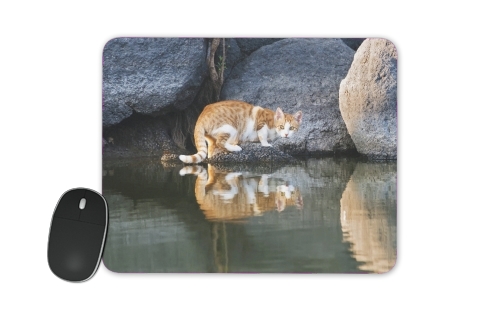 Tapis  Reflet chat dans l'eau d'un étang 
