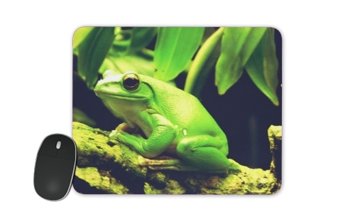 Tapis Green Frog
