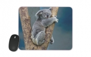 tapis-de-souris Koala Bear Australia