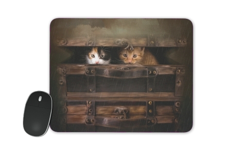 Tapis Little cute kitten in an old wooden case