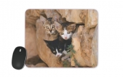 tapis-de-souris Trois petits chatons mignons dans un orifice d'un mur