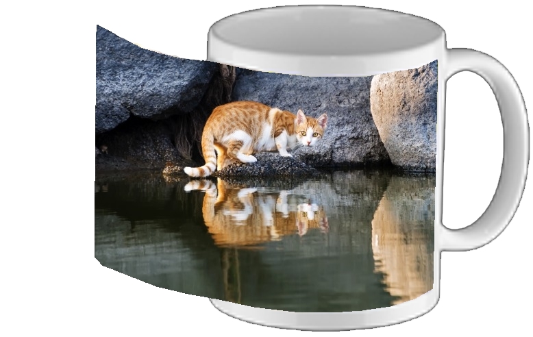 Mug  Reflet chat dans l'eau d'un étang 