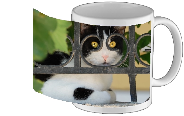 Mug chat avec montures de lunettes, elle voit par la clôture en fer forgé