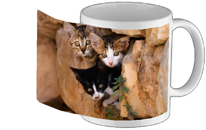 Mug Trois petits chatons mignons dans un orifice d'un mur