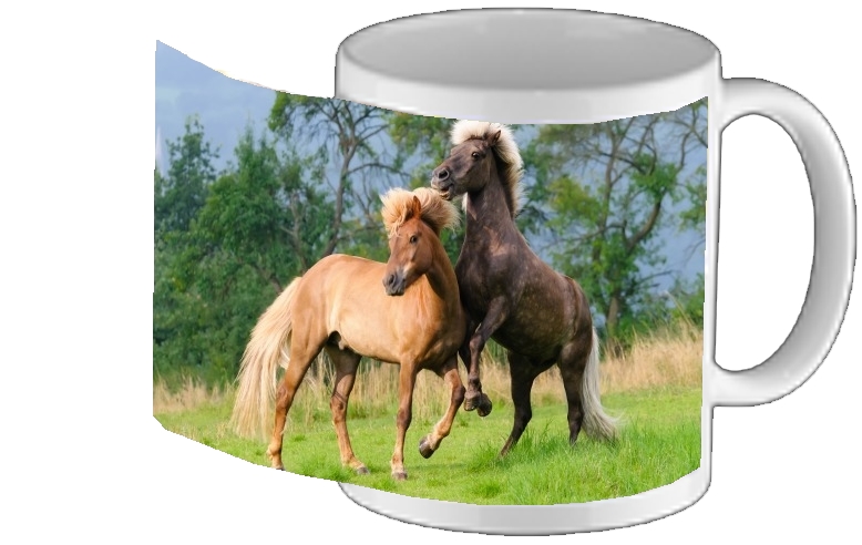 Mug Deux chevaux islandais cabrés, jouent ensemble dans le pré