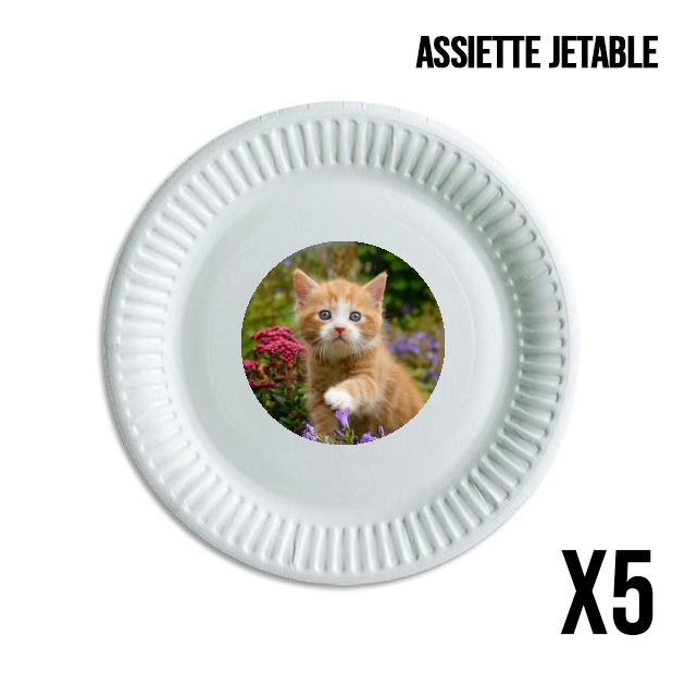 Assiette jetable personnalisable - Pack de 5 Bébé chaton mignon marbré rouge dans le jardin