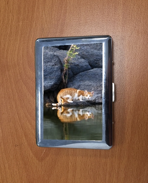 Porte  Reflet chat dans l'eau d'un étang 