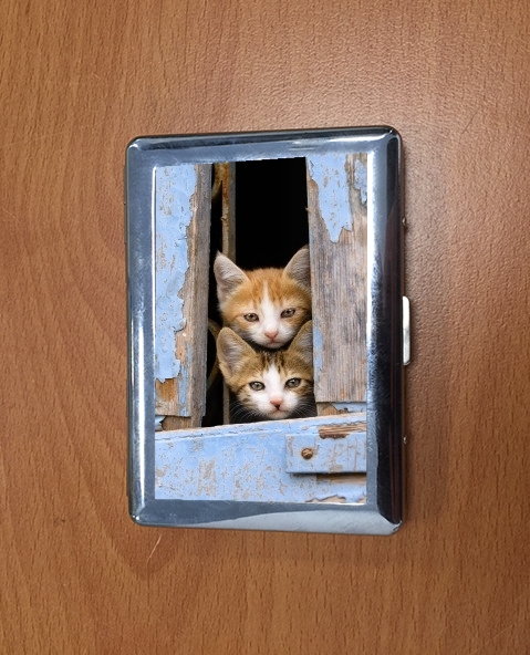 Porte Petits chatons mignons à la fenêtre ancienne