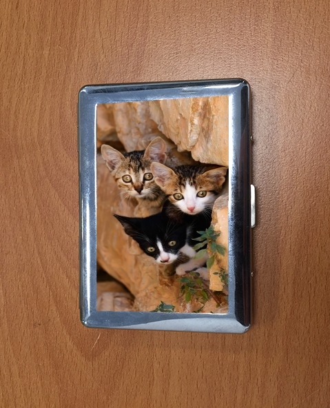 Porte Trois petits chatons mignons dans un orifice d'un mur