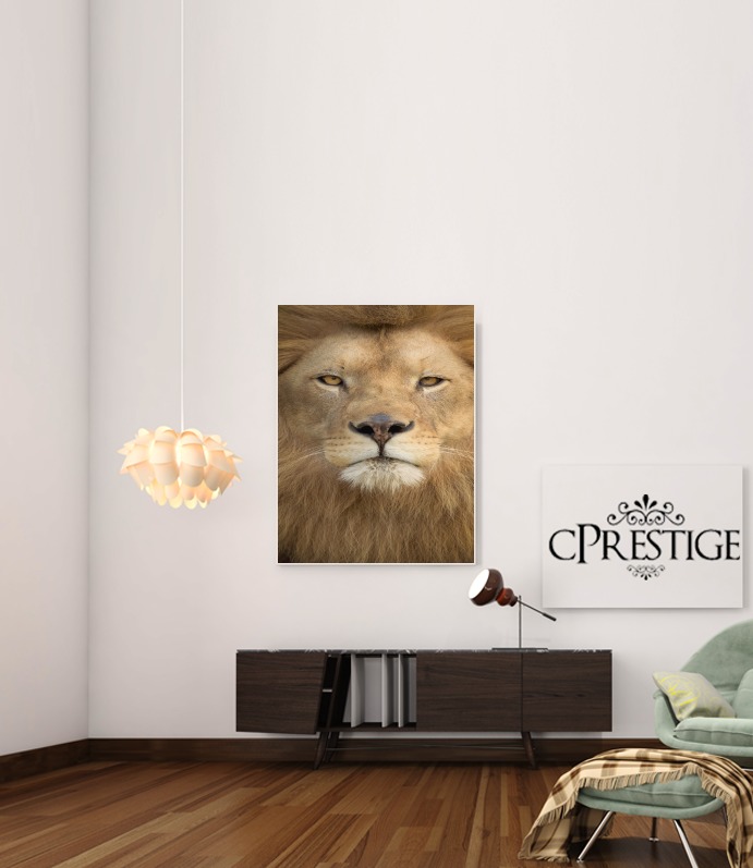 Poster Africa Lion